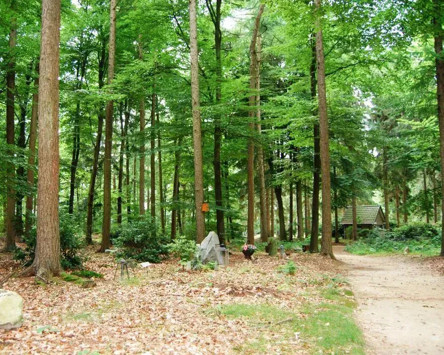 Natuurbegraafplaats Witteveen
